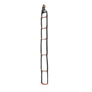 StepUp 6 Ladder